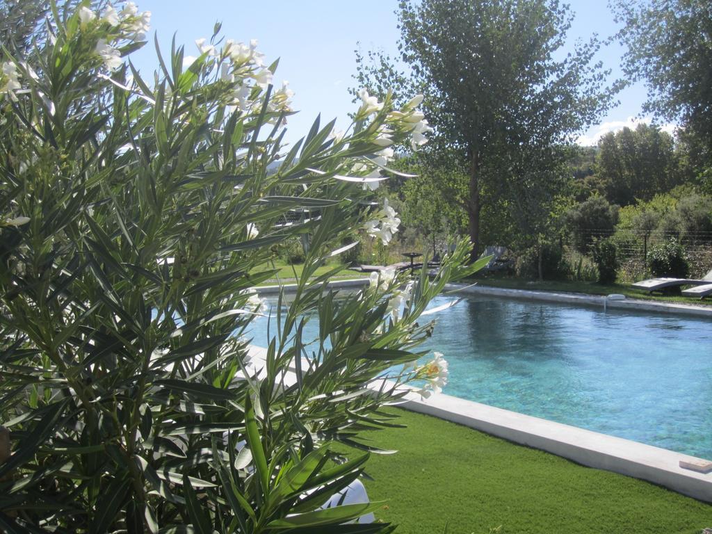 Chez Odile B&B Saint Didier (Vaucluse) Exterior foto