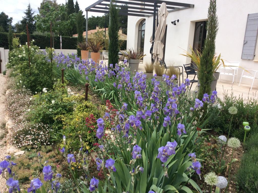 Chez Odile B&B Saint Didier (Vaucluse) Exterior foto