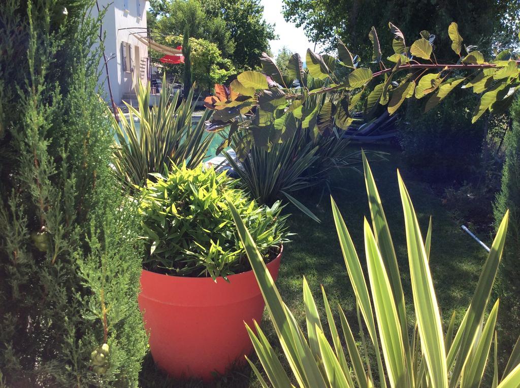 Chez Odile B&B Saint Didier (Vaucluse) Exterior foto